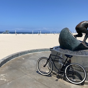 Unknown Beach Cruiser Black