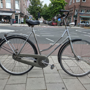 Batavus Torino Silver, gray or bare metal