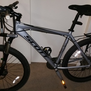 SCOTT Silver or Gray