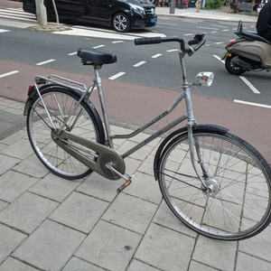 Batavus Torino Silver, gray or bare metal