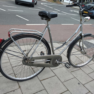 Batavus Torino Silver, gray or bare metal