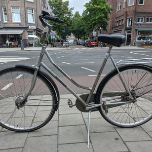 Batavus Torino Silver, gray or bare metal