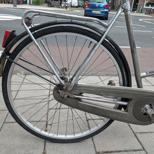 Batavus Torino Silver, gray or bare metal