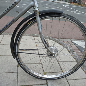 Batavus Torino Silver, gray or bare metal