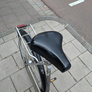 Batavus Torino Silver, gray or bare metal