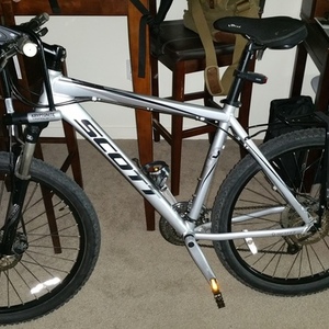 SCOTT Silver or Gray