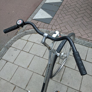 Batavus Torino Silver, gray or bare metal