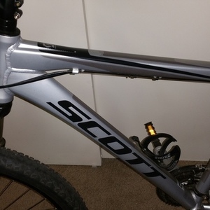 SCOTT Silver or Gray