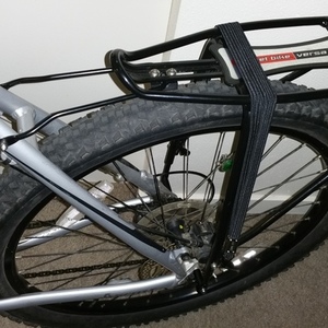 SCOTT Silver or Gray