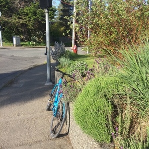 2016 Trek Blue