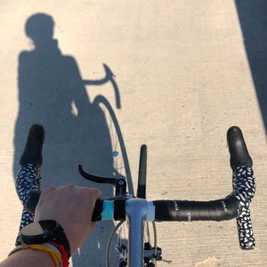 Schwinn Black