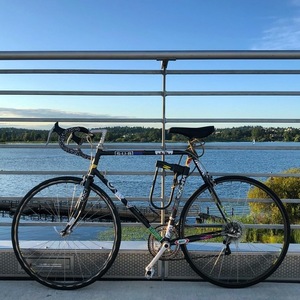 Schwinn Black