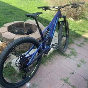 2020 Specialized Stumpjumper Blue