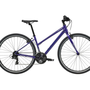 2020 MEC 2020 Purple