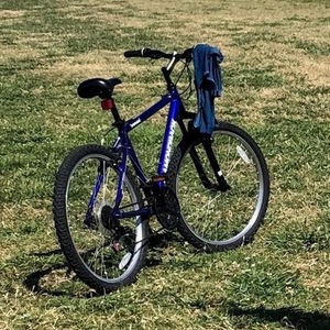 Diamondback Blue