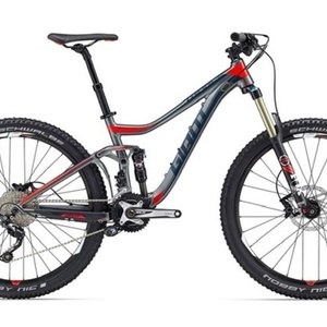 2016 Giant Trance Silver, gray or bare metal