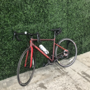 2020 Specialized Allez Sport Red