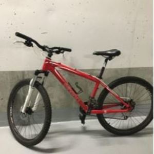 2010 Devinci CAMELEON Red