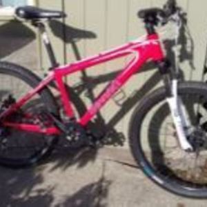 2010 Devinci CAMELEON Red
