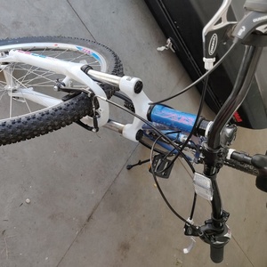 Raleigh Eva Blue