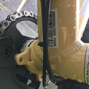 2019 Diamondback Syncr Yellow or Gold and Black