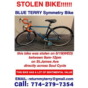 Terry Symmetry Blue