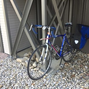 Fuji Newest 4.0 Blue
