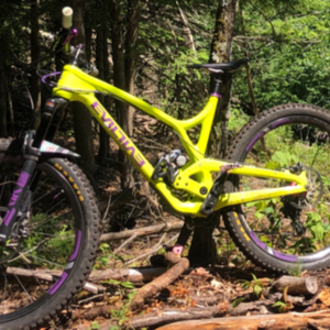 2016 Evil Insurgent Yellow or Gold and Purple