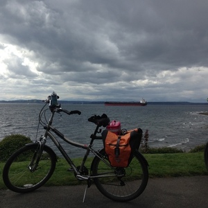 Specialized Silver or Gray