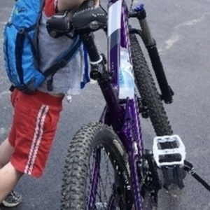2017 Trek WM FUEL EX 5 Purple
