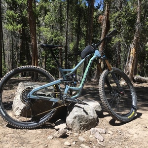 2019 Niner RIP 9 Green and Blue