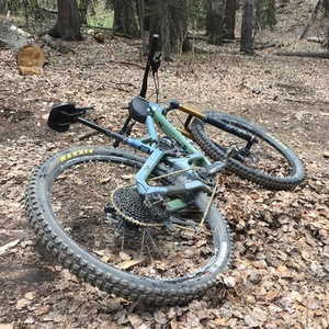 2019 Niner RIP 9 Green and Blue