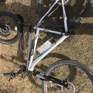 Rocky Mountain Bicycles Soul Silver, gray or bare metal