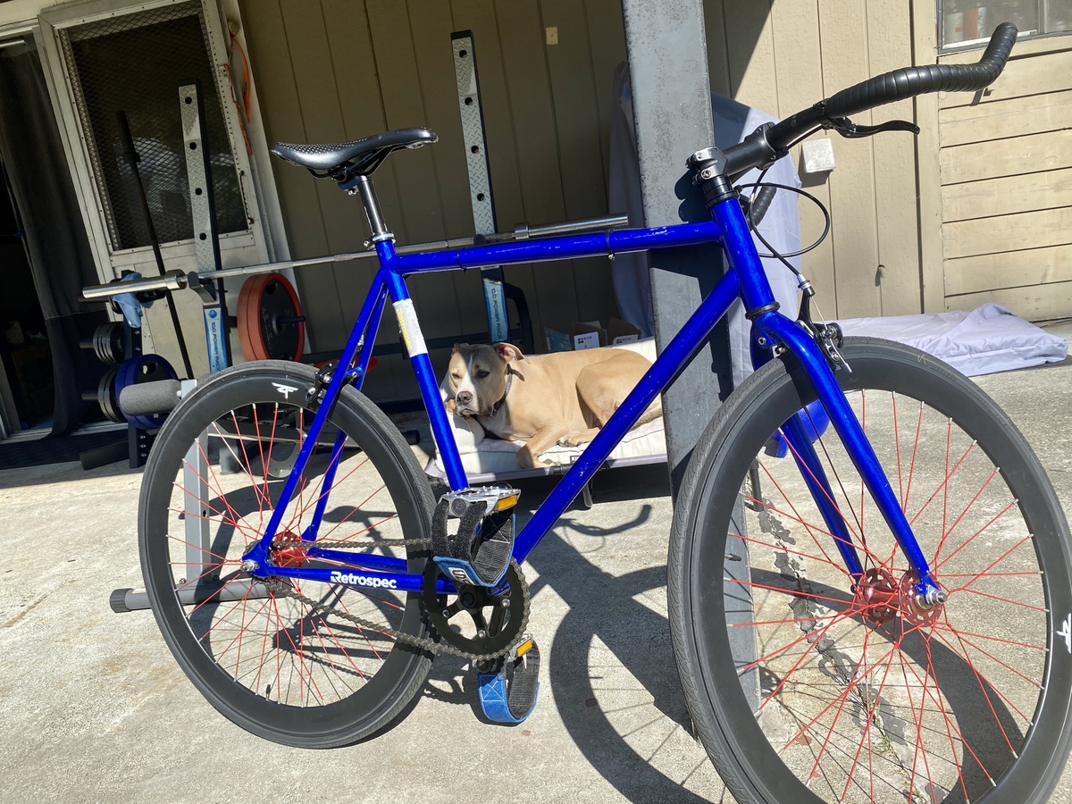 Bike photo