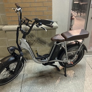 2020 Rad Power Bikes RunRunner Plus Silver, gray or bare metal and Black