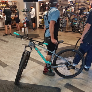 2021 Trek Green
