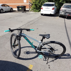 2021 Trek Green