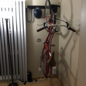 2016 Momentum Streak/Midstep frame Red