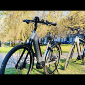 2019 Gazelle Silver, gray or bare metal and Red