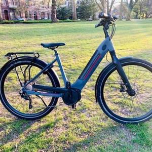 2019 Gazelle Silver, gray or bare metal and Red
