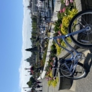 Electra Townie Go 7D Blue