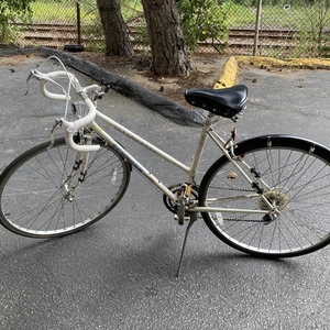 Schwinn World White