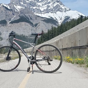 gt transeo comp 2018