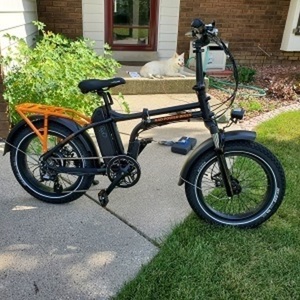 2020 Rad Power Bikes RAD MINI 4 mens frame Black