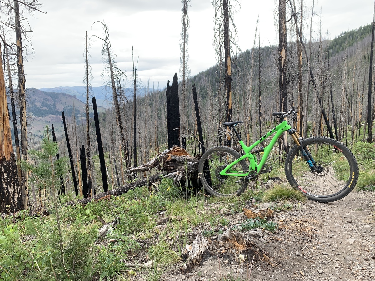 Bike photo