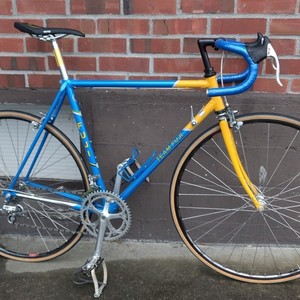 1986 Fuji Team Fuji Blue and Yellow or Gold