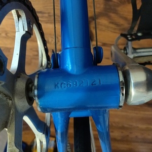 1986 Fuji Team Fuji Blue and Yellow or Gold