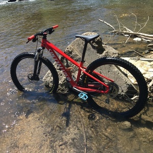 specialized rockhopper review 2019