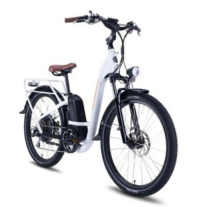 2019 Rad Power Bikes Radcity Step-Thru White