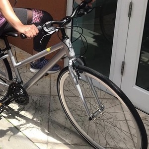 2020 Loco Cycles Step-Thru Sport Silver, gray or bare metal